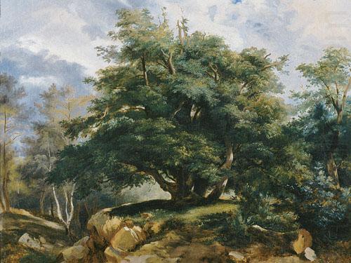 The Old Oak in the Forest of Fontainebleau, Jules Coignet